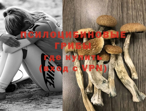 амф Богданович