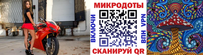 Псилоцибиновые грибы MAGIC MUSHROOMS  Онега 